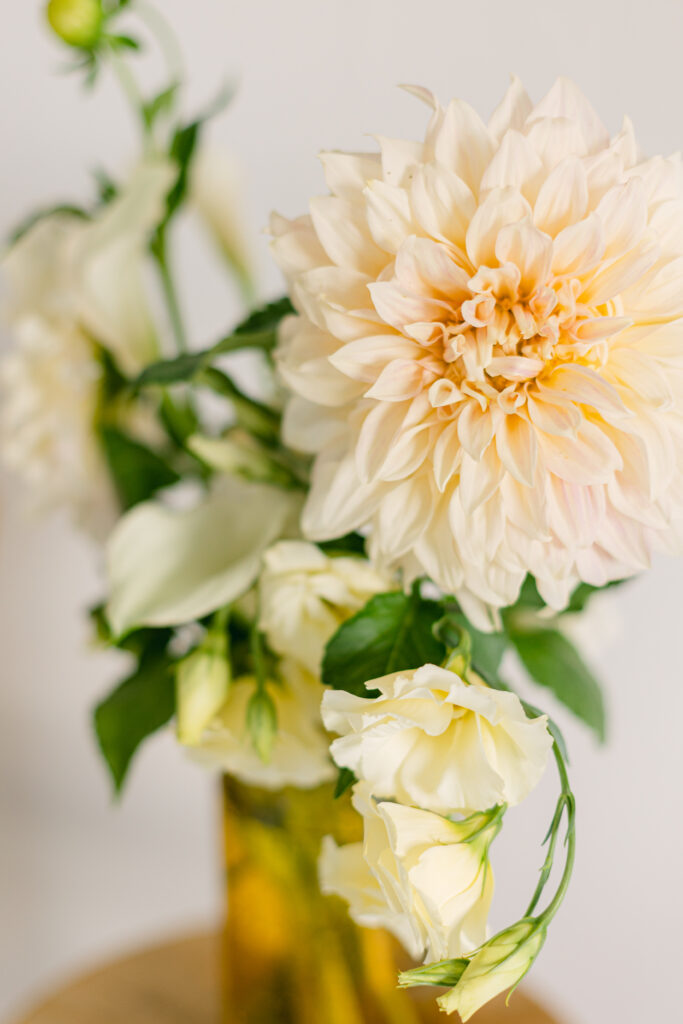 Floral Arrangements- photo shoot