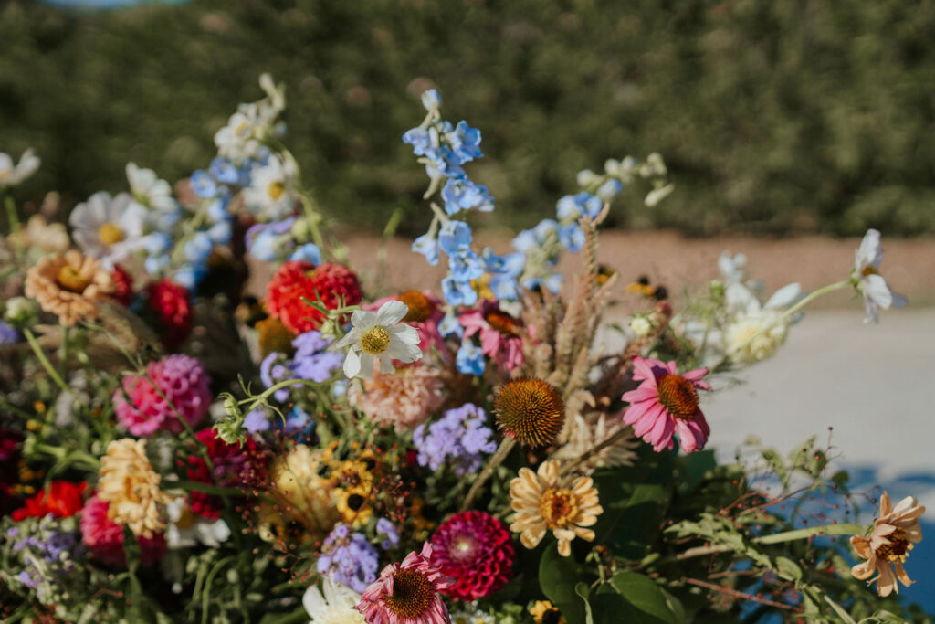 Arizona Flowers